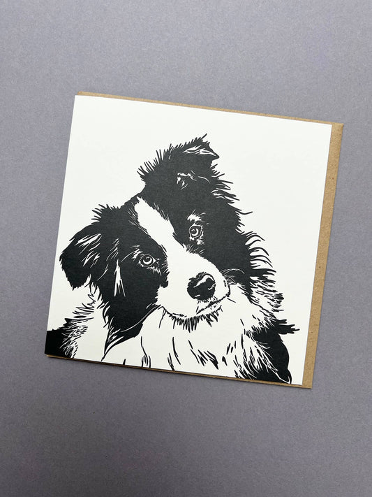 Pengiun ink Border Collie Puppy Card