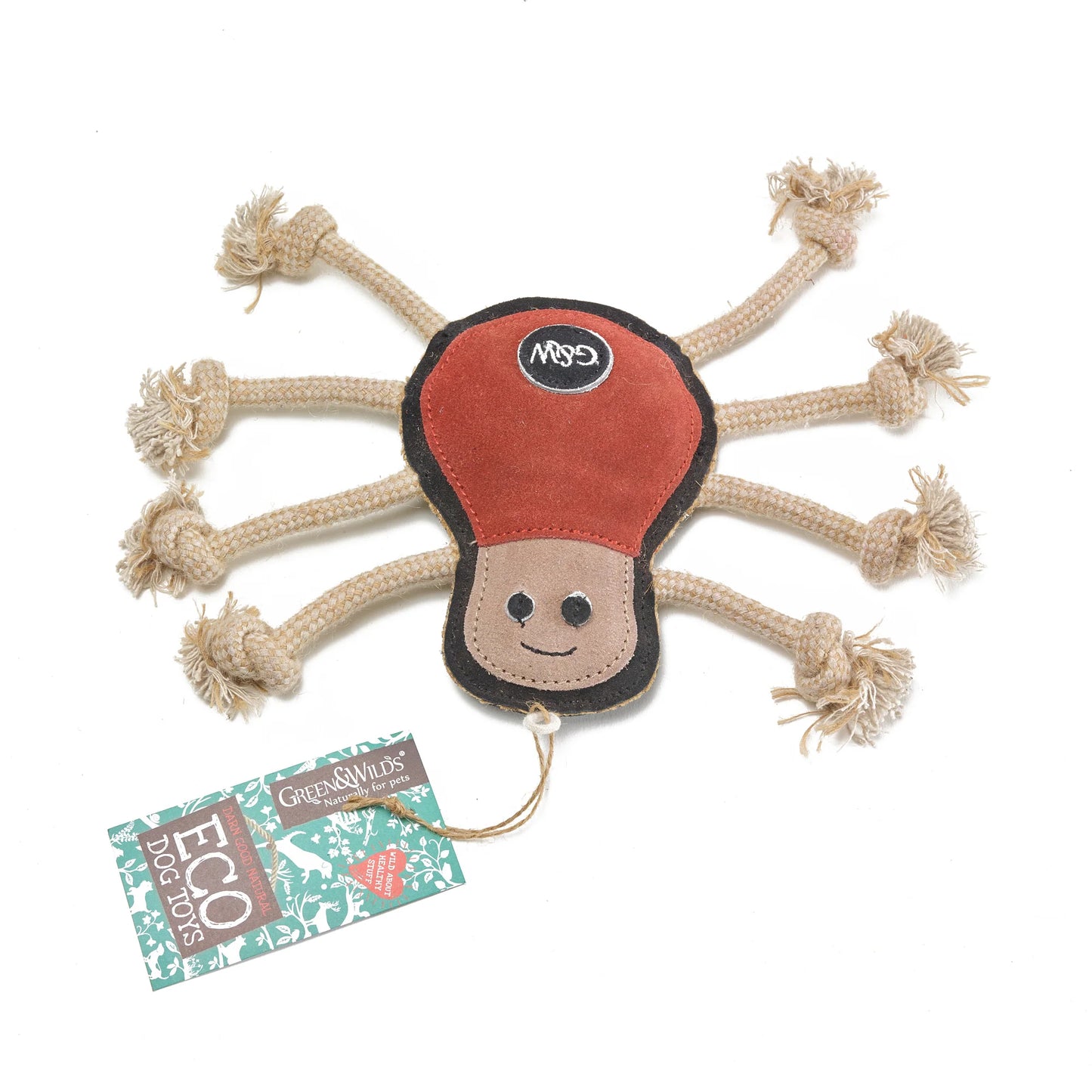 G&W Spike the Spider Eco Toy