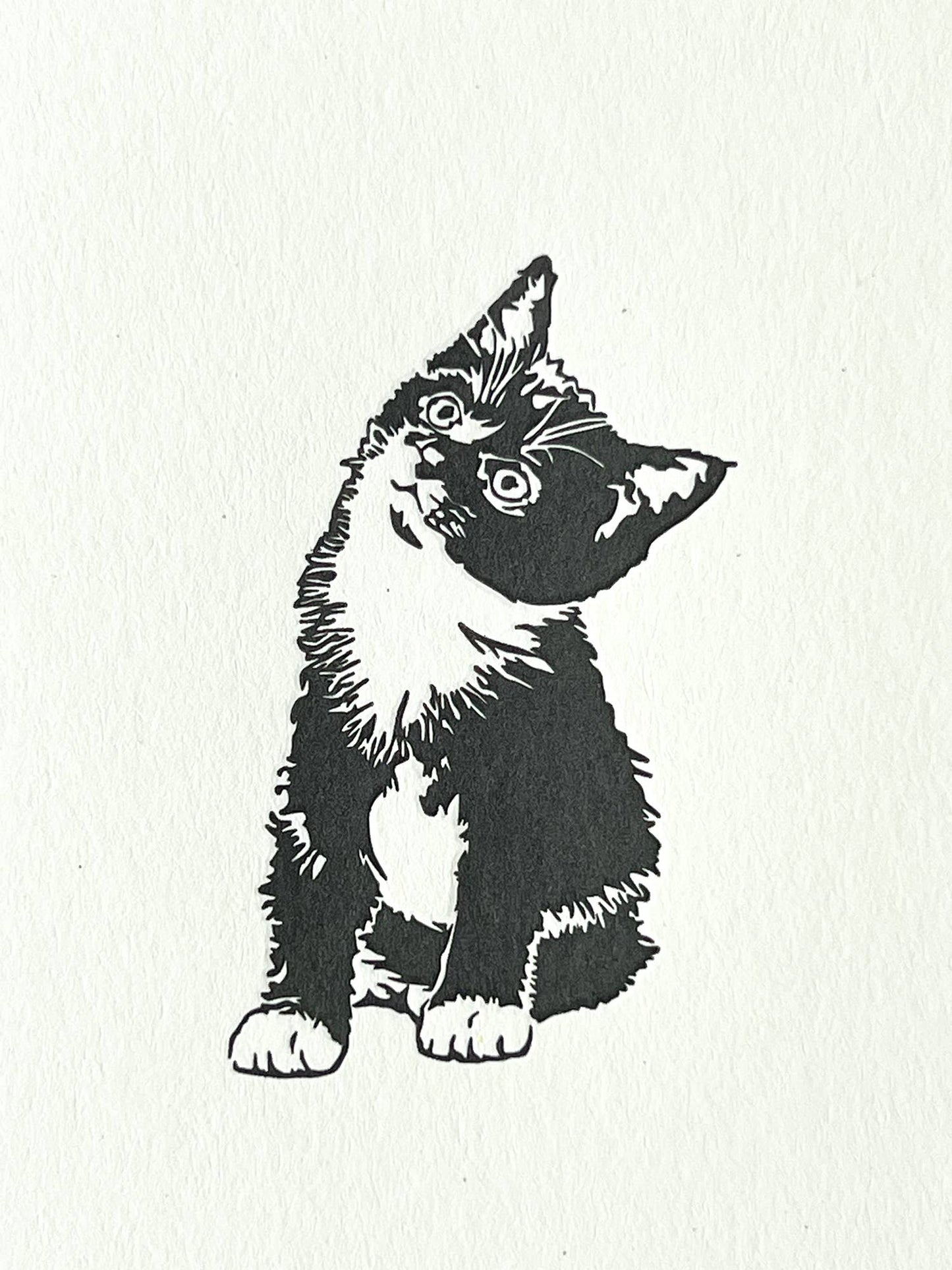 Penguin Ink Molly Cat Note Card