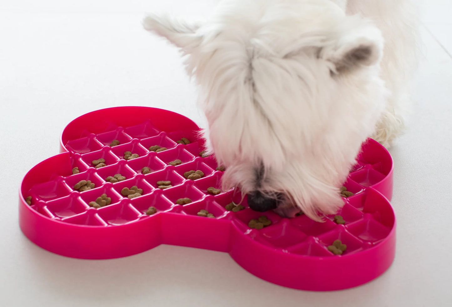Lickimat Slodog Feeder Plate