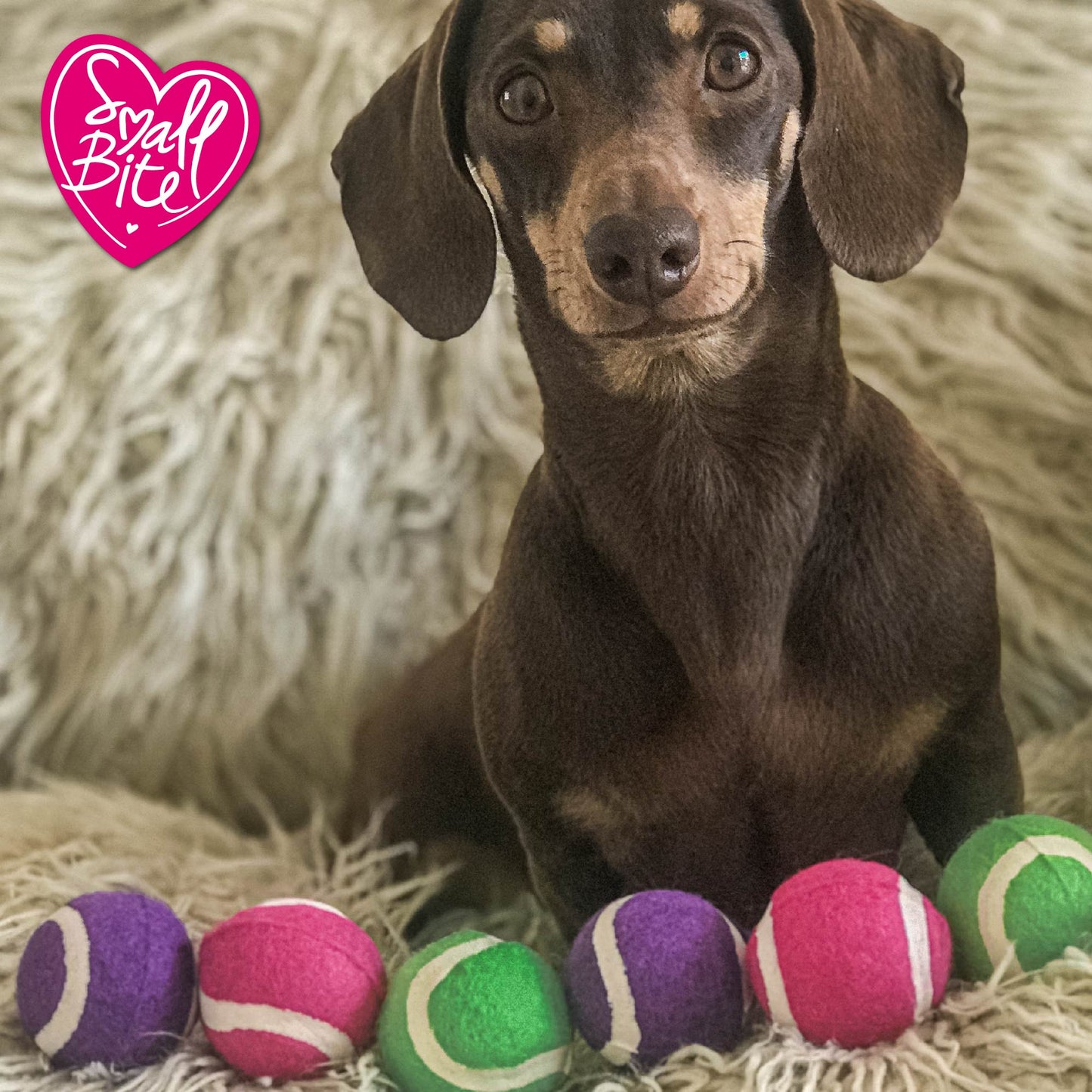 Small Bite Mini Tennis Balls (6pck)