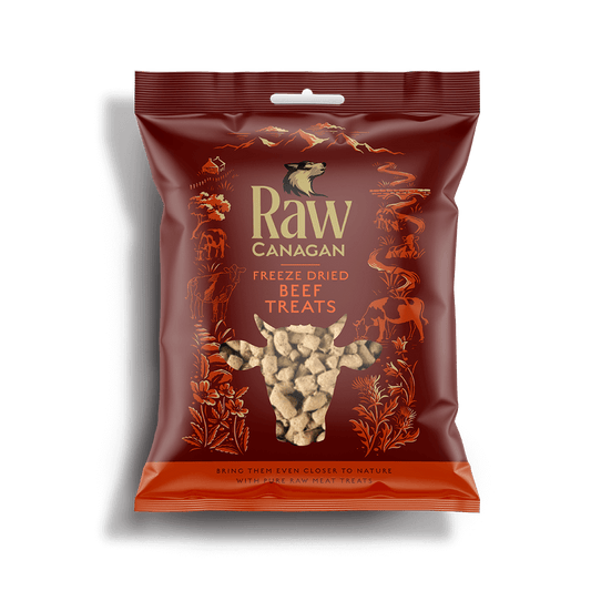 Canagan Freeze Dried Raw Beef Treats 20g