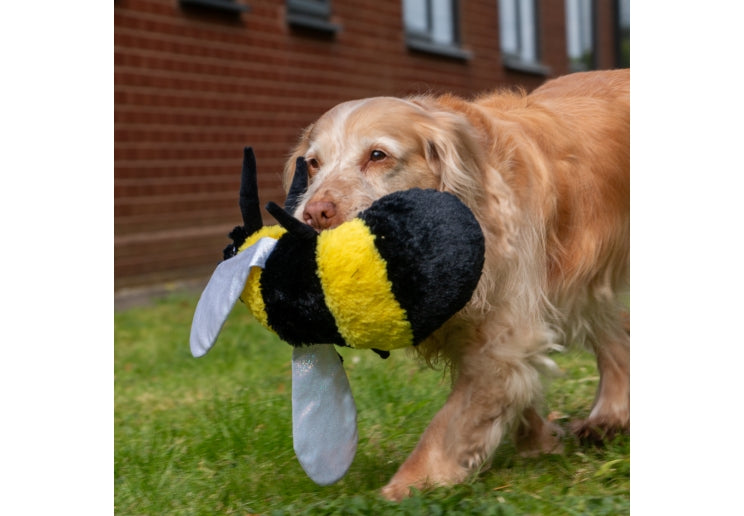 Cuddley Critter Toys (3 options)