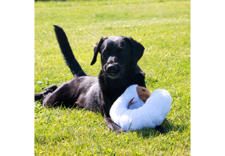 Cuddley Critter Toys (3 options)