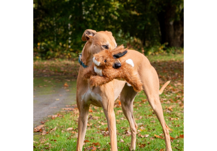 Hare Heritage Dog Toy