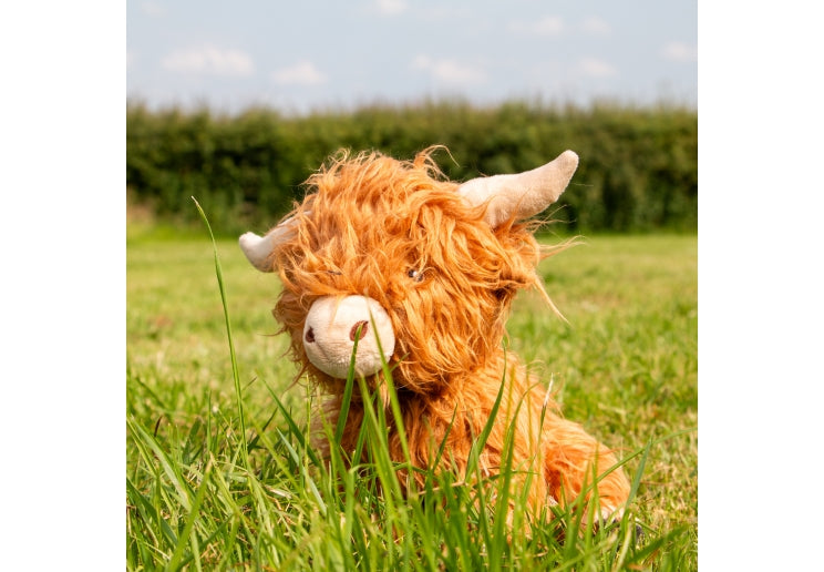 'Fergus' the Heritage Highland Cow Toy