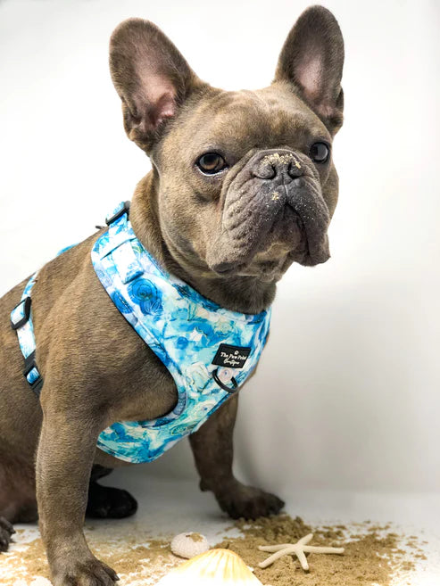 PPB Cute As Shell Adjustable Harness ( Multiple Sizes)