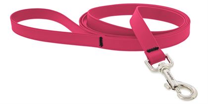 Lupine Splash 3/4" Lead