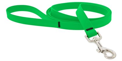 Lupine Splash 3/4" Lead