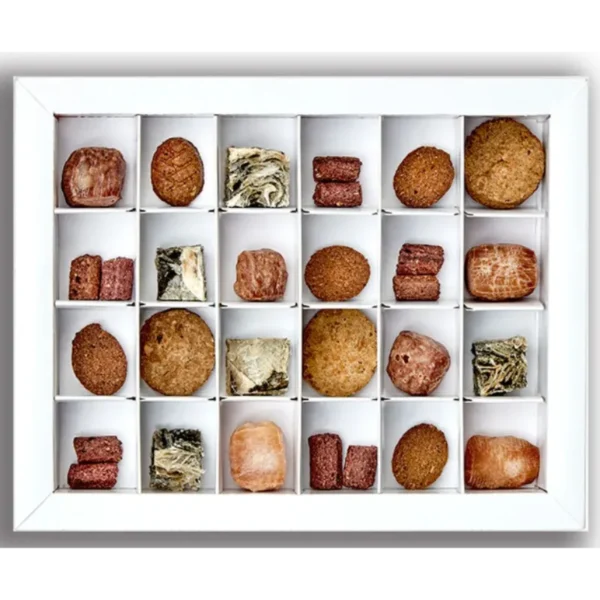 Green & Wilds Dog Advent Calendar