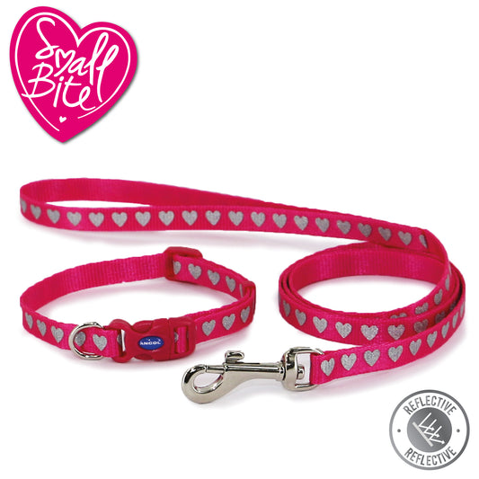 Small Bite Reflective Pink Heart Collar & Lead Set