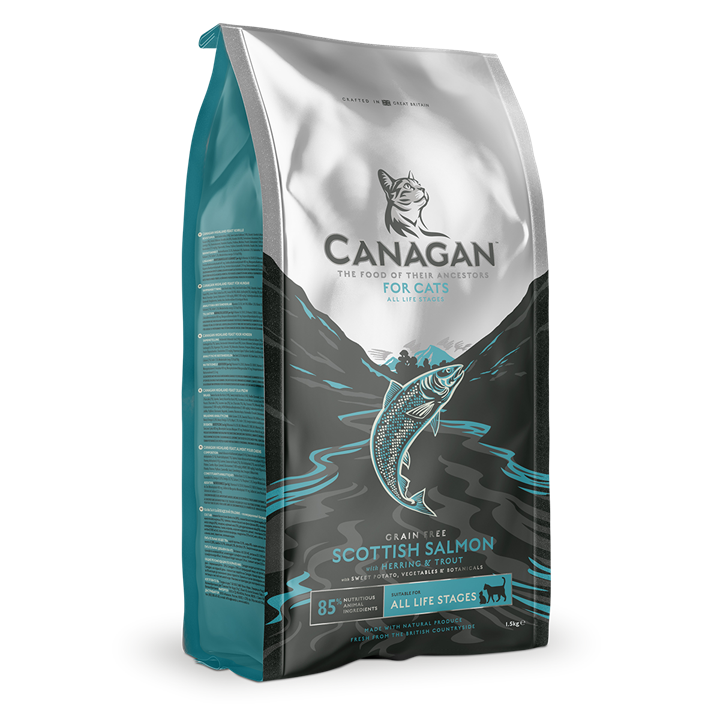 Canagan Scottish Salmon Kibble For Cats 375g