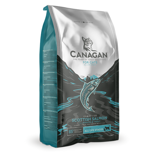 Canagan Scottish Salmon Kibble For Cats 375g