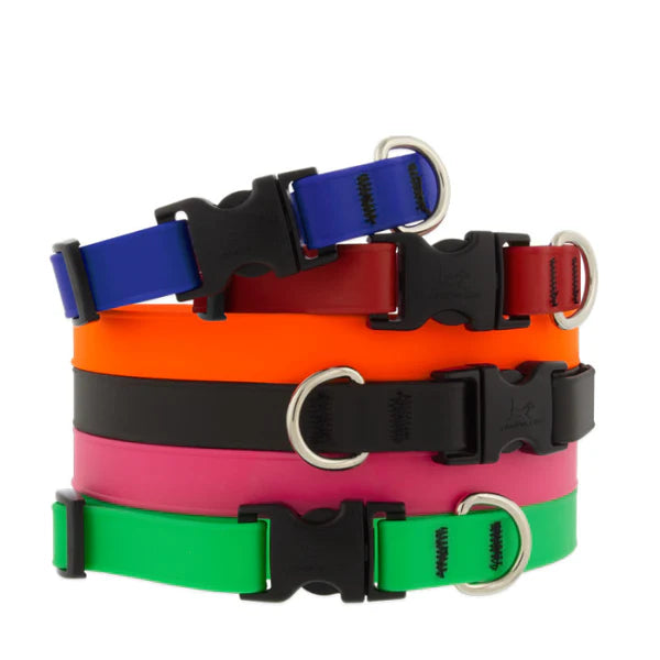 Lupine Splash Collars 3/4"