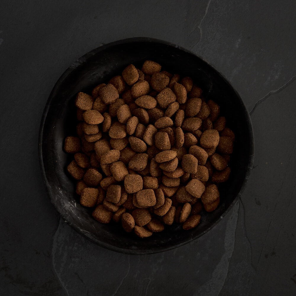 Canagan Grass Fed Lamb Dry Kibble 2kg