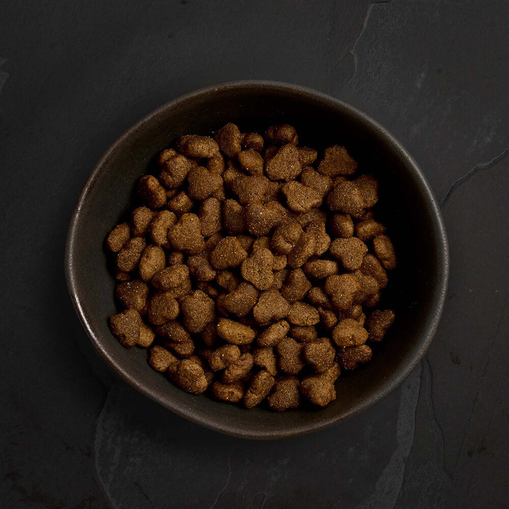 Canagan Free Range Chicken Puppy Kibble 2kg