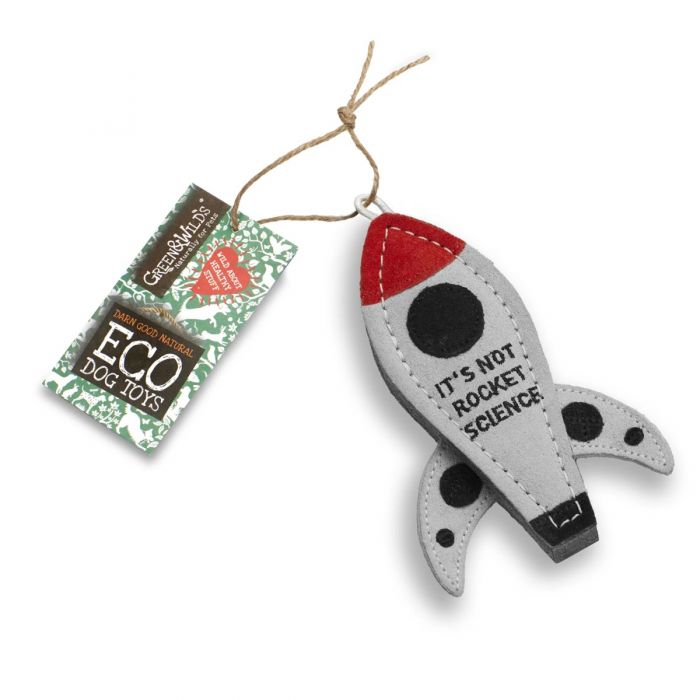 G&W 'Its not Rocket Science' Eco Toy