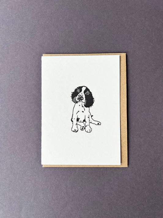 Penguin Ink Springer Spaniel Note Card