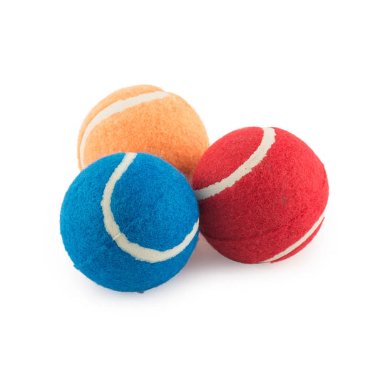 Ancol Chaser High Bounce Tennis Ball ( Mixed Colours)