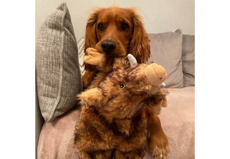 Huge Hog Soft Unstuffed Dog Toy
