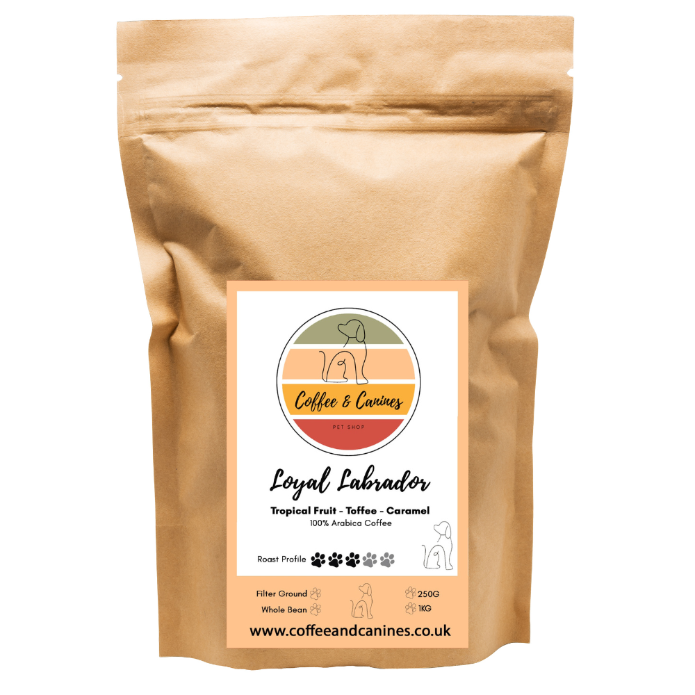 Loyal Labrador Arabica Coffee | Ground 1kg