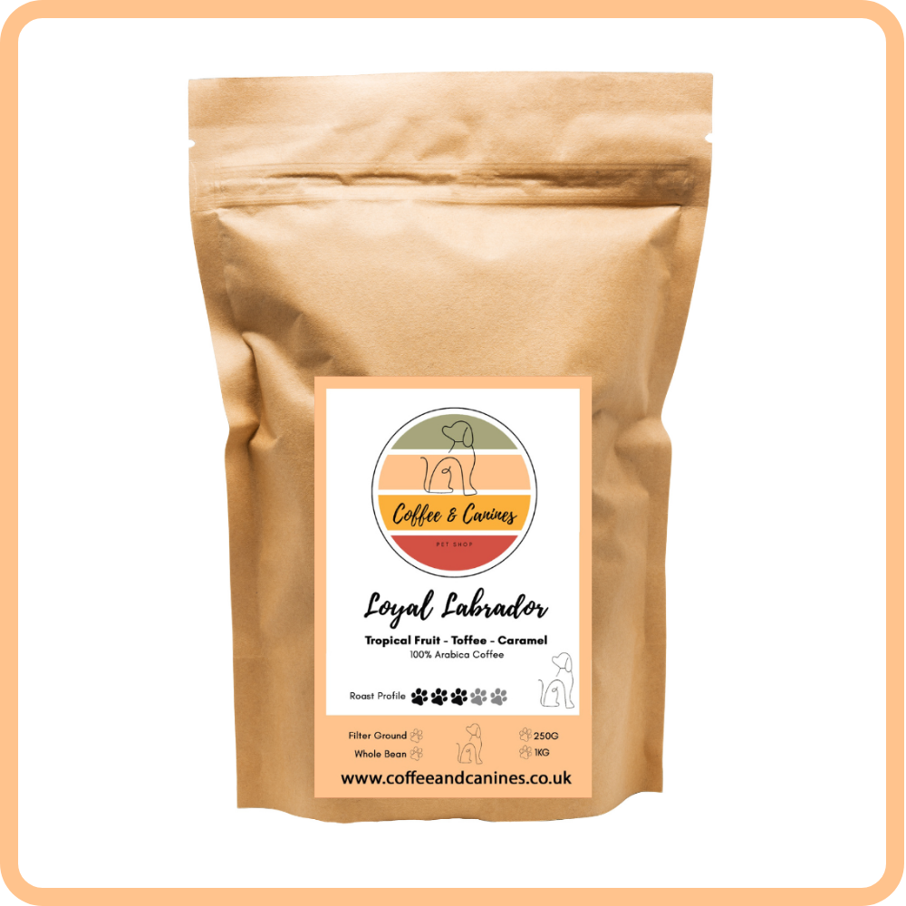 Loyal Labrador Arabica Coffee | Whole Bean 250g