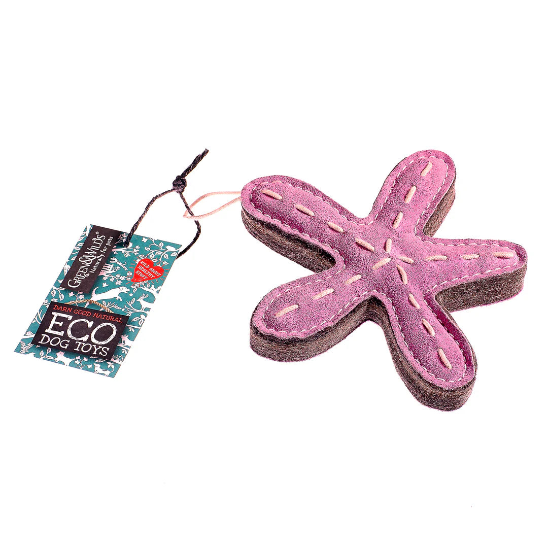 G&W Stanley the Starfish Eco Toy